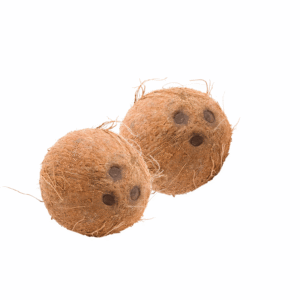 Coconuts