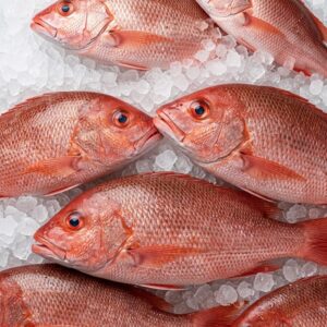 Red Frozen Fish