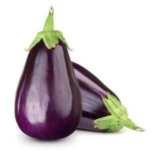 African Egg Plant