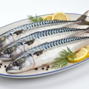 Mackerel
