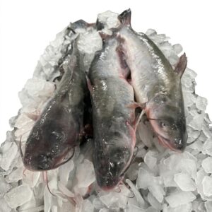 Catfish – Whole
