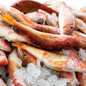 Senegalese Red Mullet
