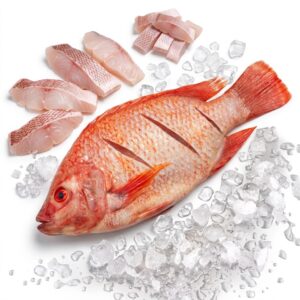 Red Snapper – Cut / Whole