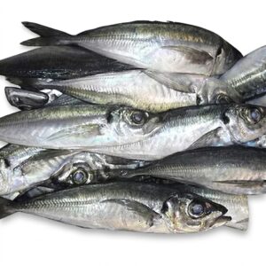 Horse Mackerel (Chinchard)-8kg