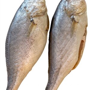Corvina / Croaker Fish