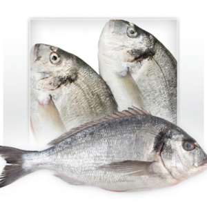 Sea Bream (Dorade)